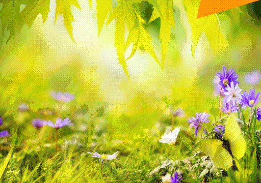 春天去哪了? ——